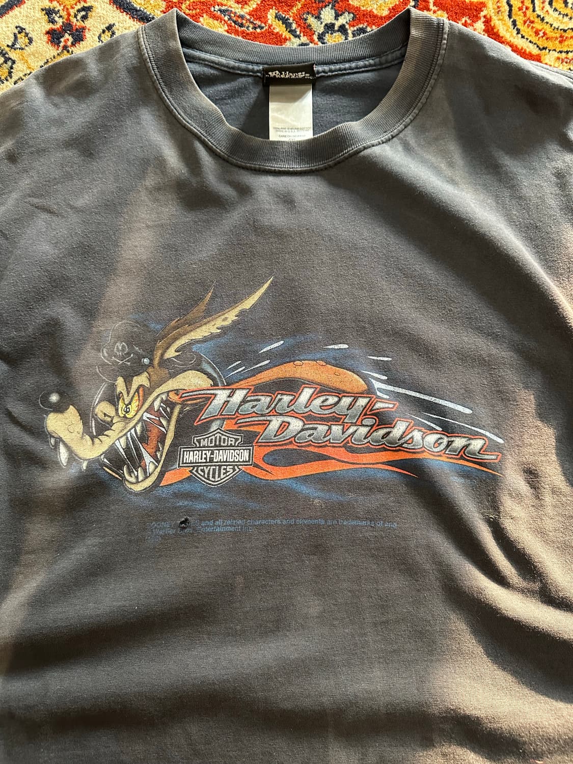 할리데이비슨 x 루니툰즈 '와일드 코요테' 파이어 롱슬리브 - 4XL 상품이미지1