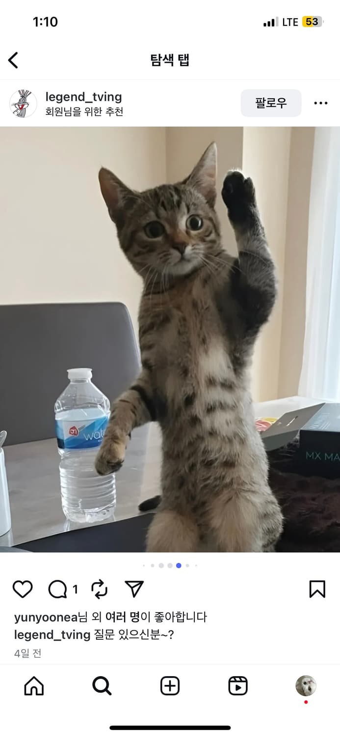 전용페이지 상품이미지1