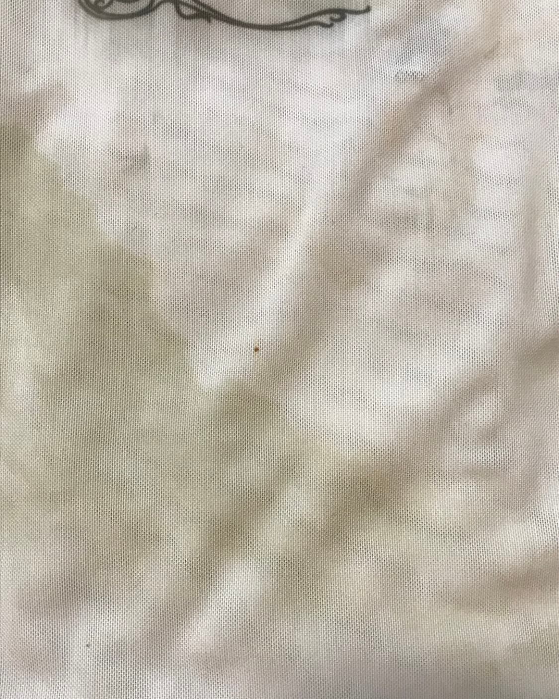 Kashiko Ink Painting Mesh Top 상품이미지7