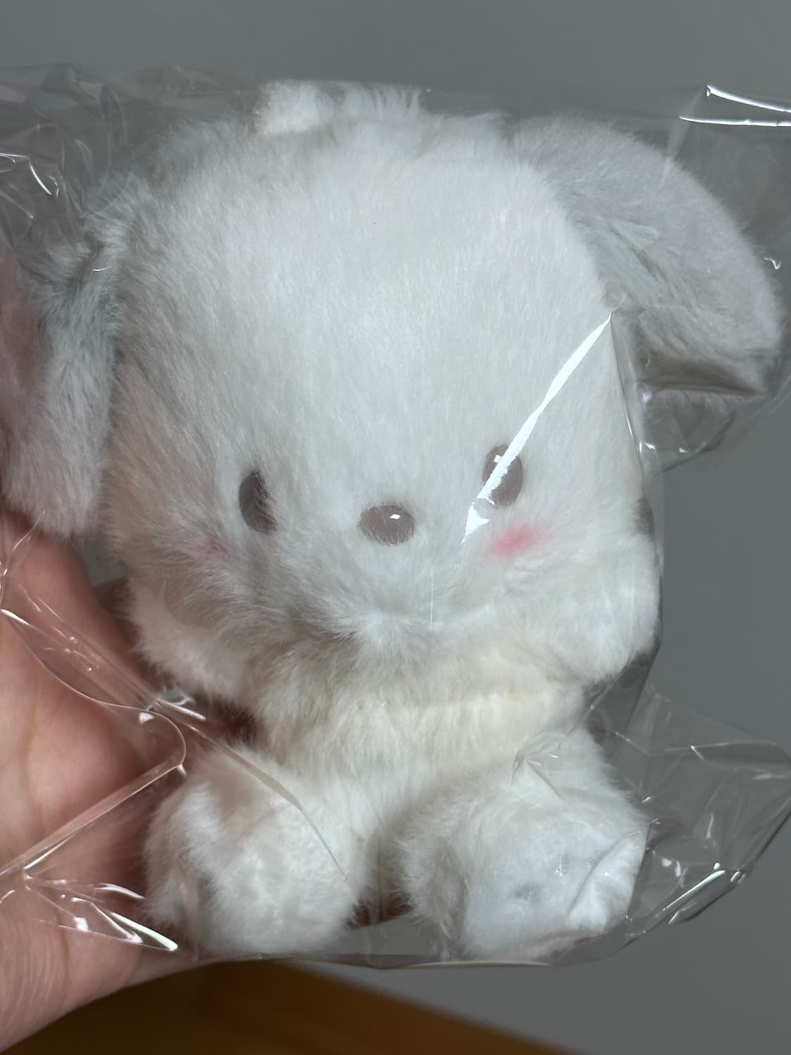 산리오 시로후와 포챠코 마스코트 인형 키링 새상품 상품이미지1