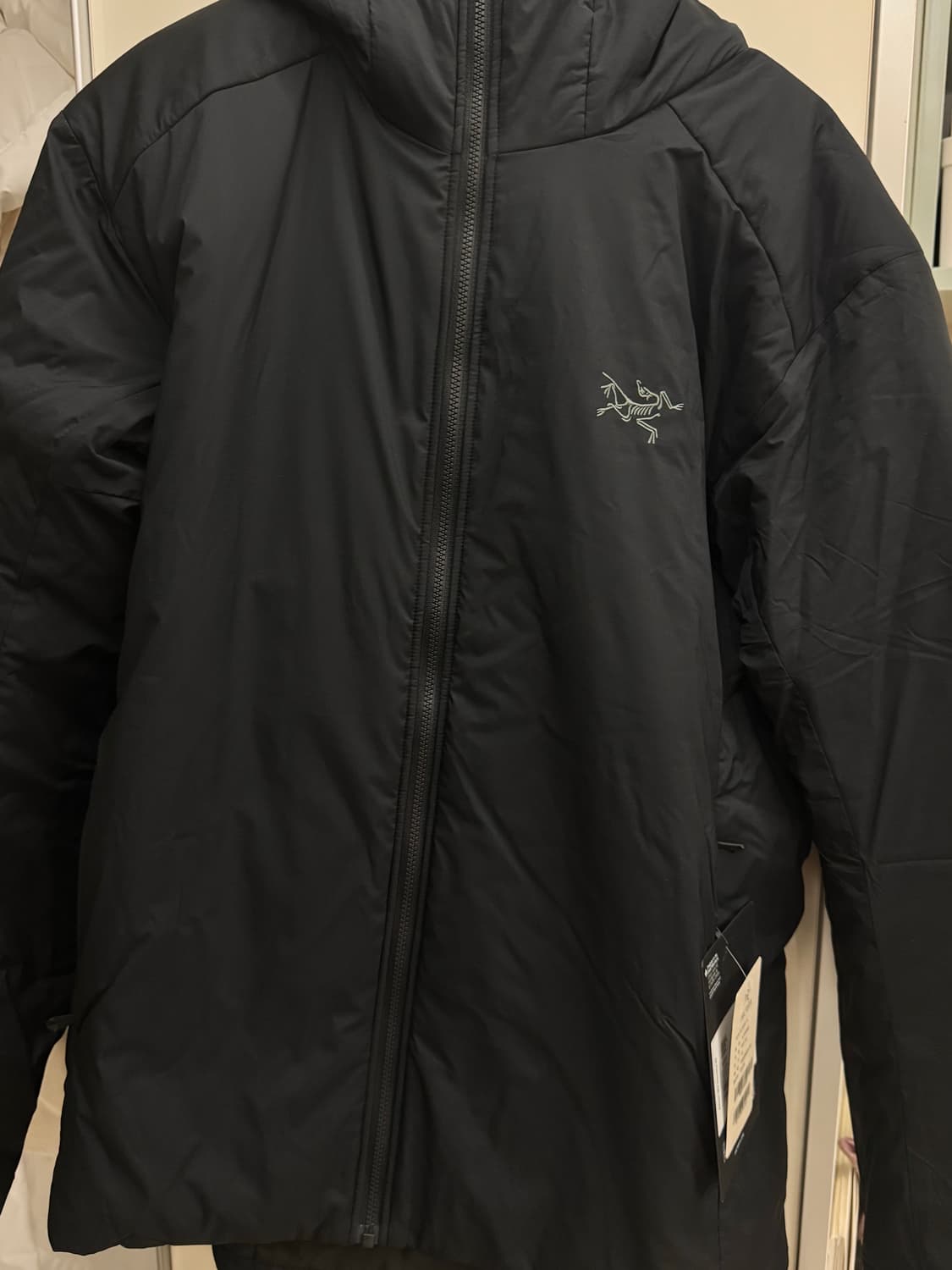 아크테릭스 아톰sv 여자 L사이즈 상품이미지1