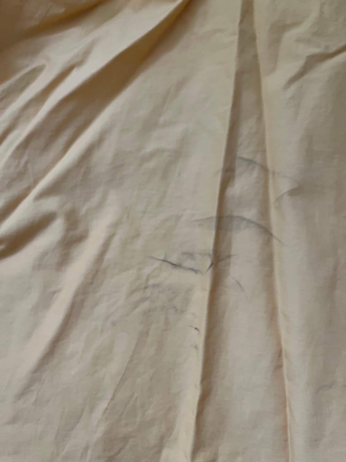 노티카 빈티지 옐로우 바람막이 L 상품이미지3