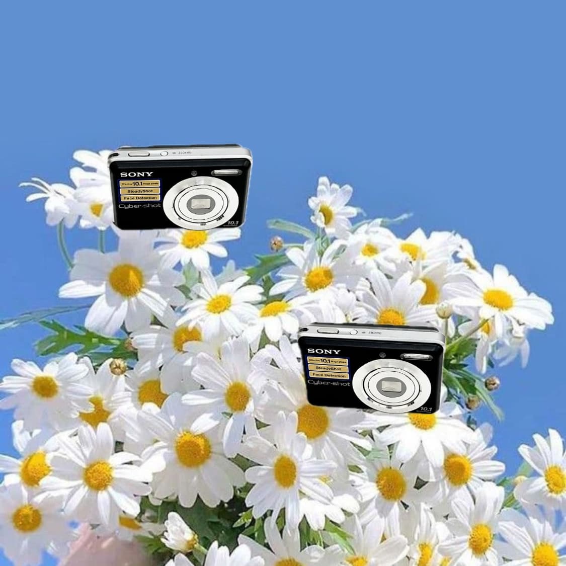 희귀&강추!) Sony Cyber-shot S930 디카 카메라 상품이미지1