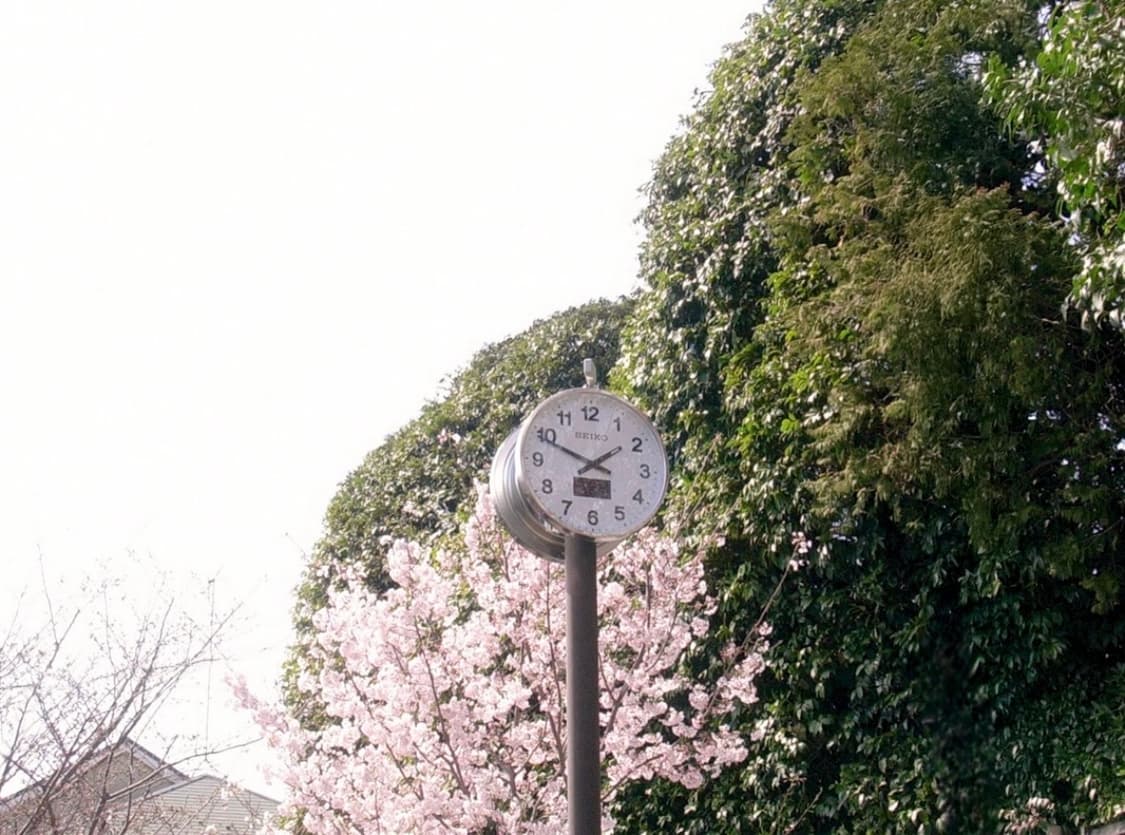 산요 작티 SANYO Xacti DSC-E6 디지털카메라 디카 상품이미지7