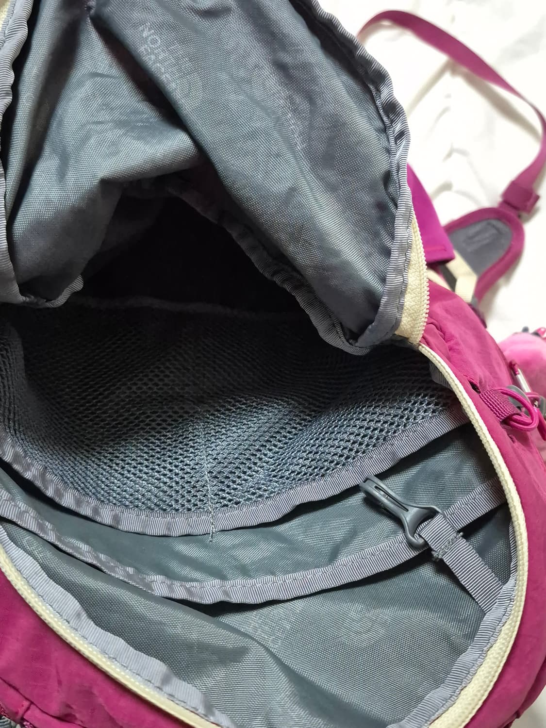 노스페이스 핑크 백팩 20l 상품이미지3