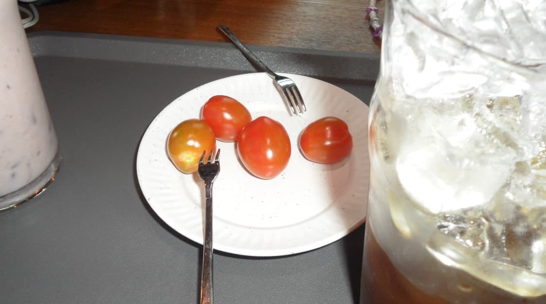 삼성 VLUU ST600(작례있음) 상품이미지10