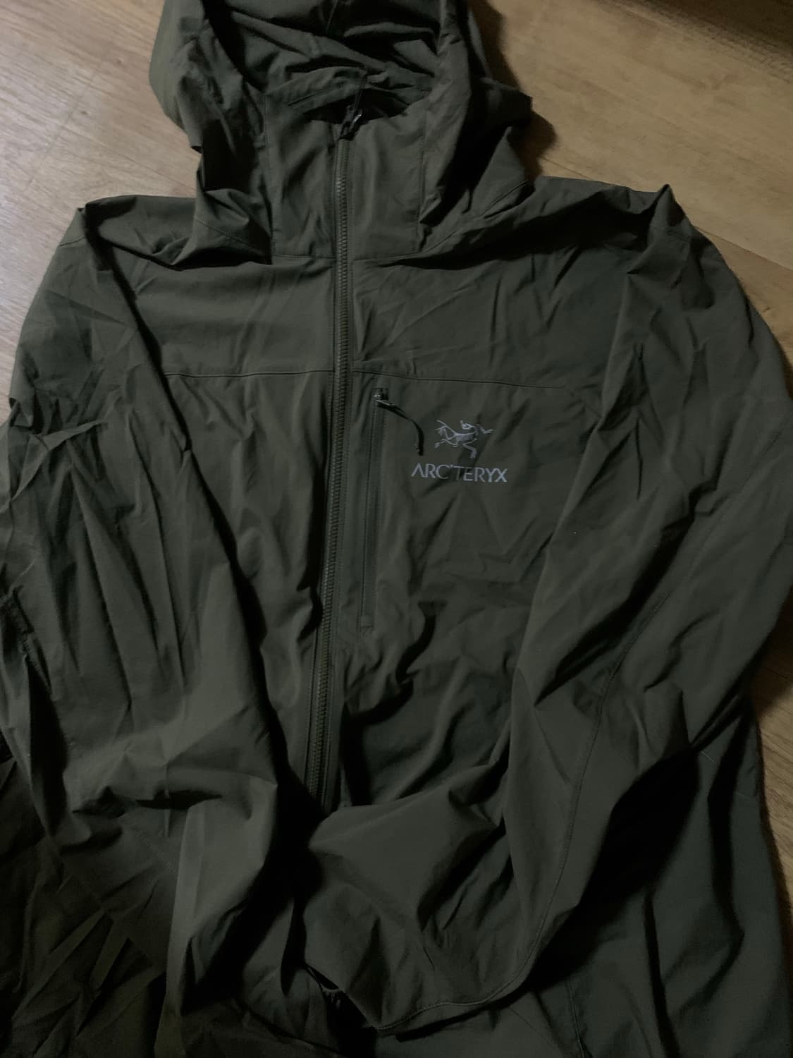 아크테릭스 스쿼미시 후디 타츠 L 상품이미지1