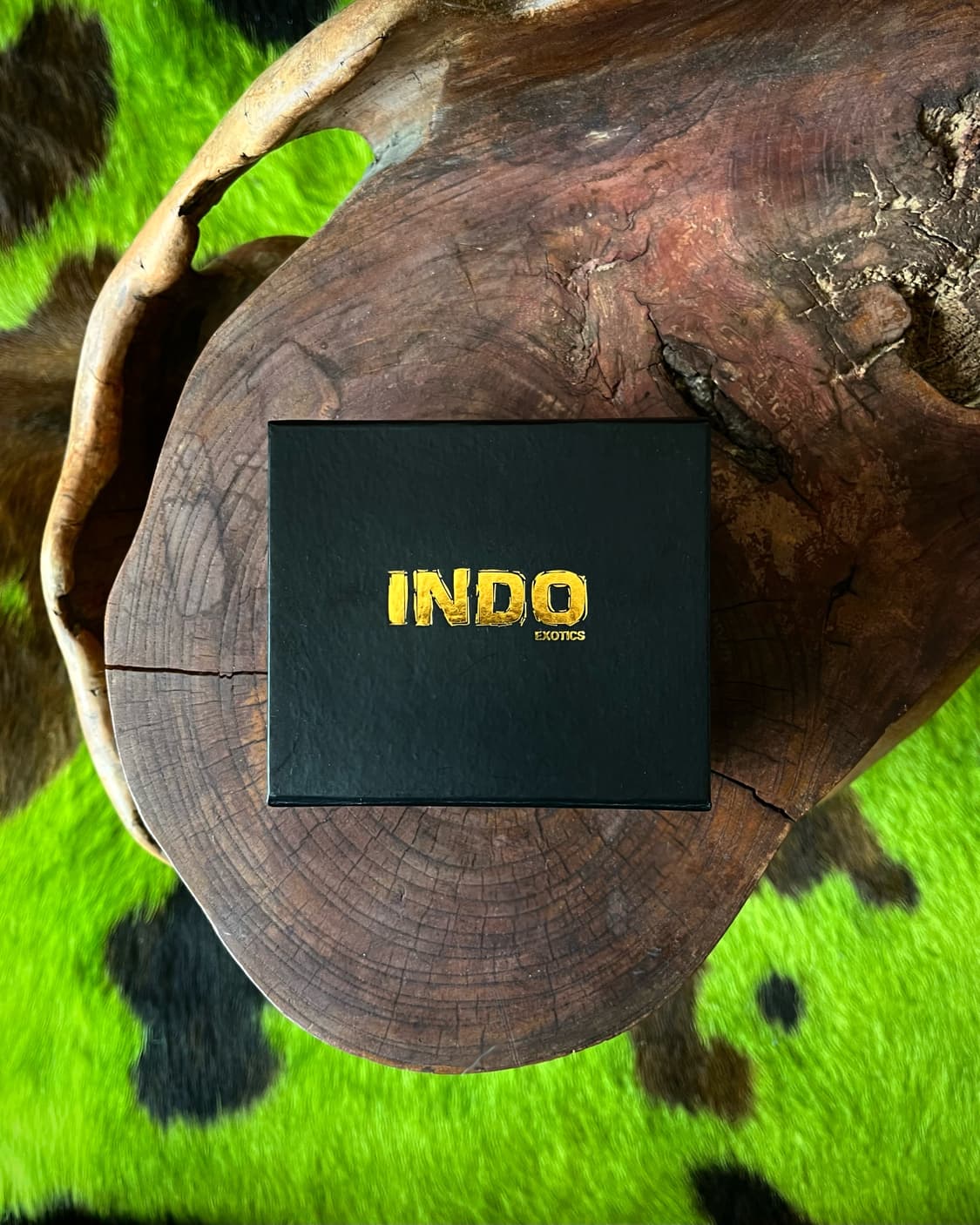 INDO Exotics Real Python Native Bangle 상품이미지4