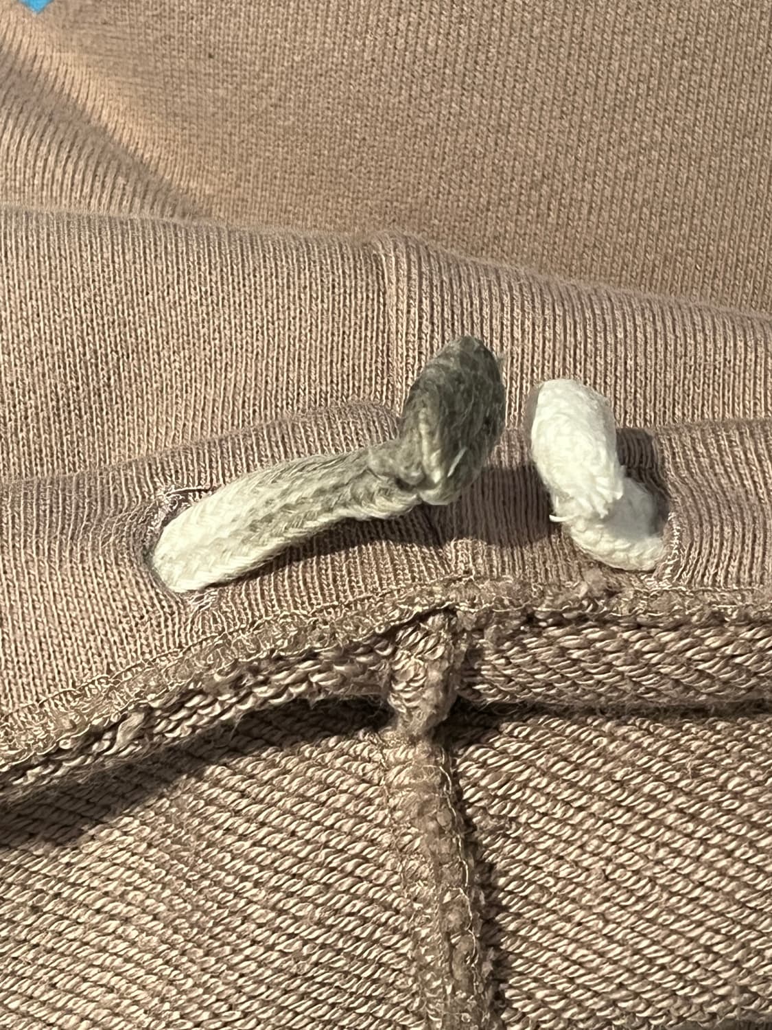 샵페어리 button jersey sweatpants (cocoa) 상품이미지2