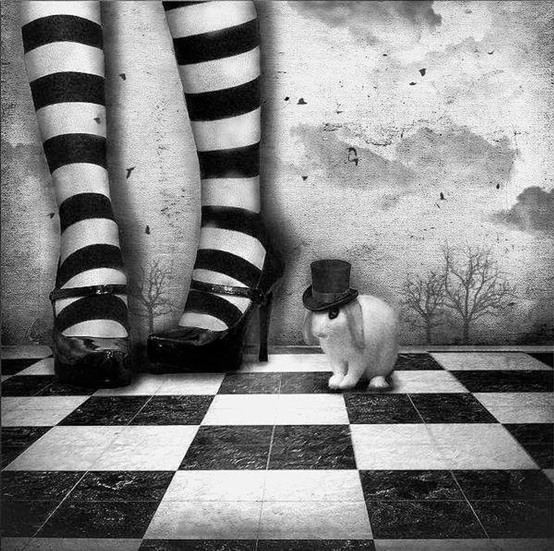Alice ♠❥𓂃𓏧 / 이상한 나라의 앨리스 네일팁 프레스온 네일 상품이미지4