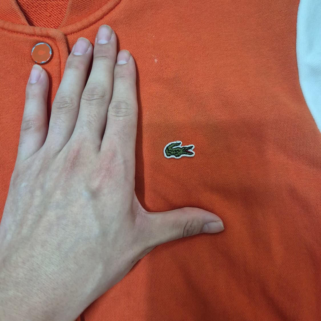 라코스테 로고 와펜 스타디움 자켓 상품이미지4