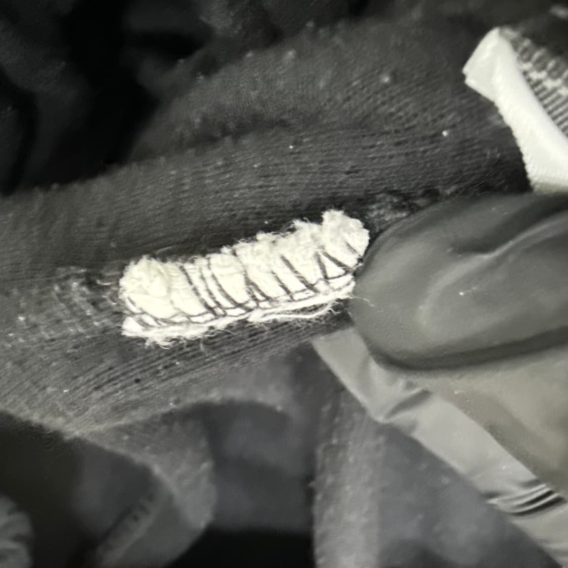 실측확인 라코스테 조거 트레이닝 팬츠 0225T2 상품이미지4