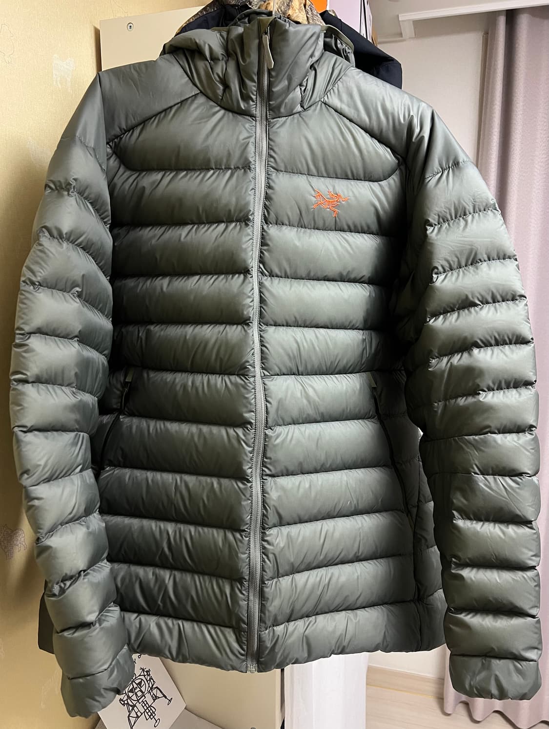 (XL)아크테릭스 세륨 후디 포리지 상품이미지1