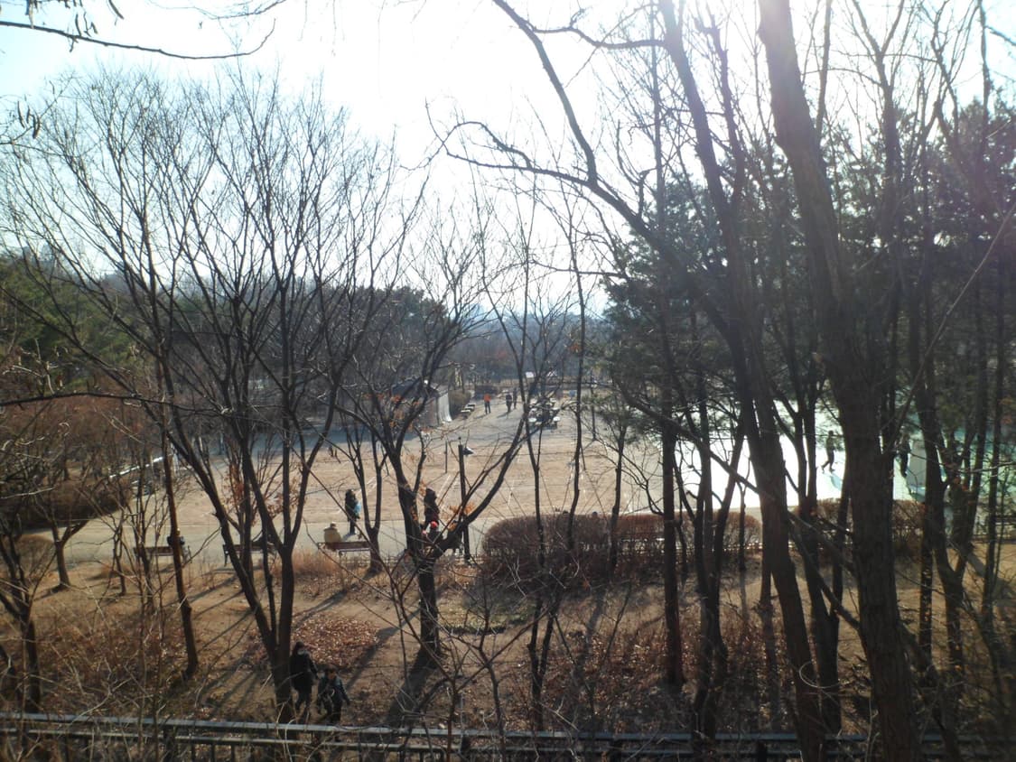 삼성 vluu pl121 한효주 디카 (빈티지 카메라) 상품이미지7