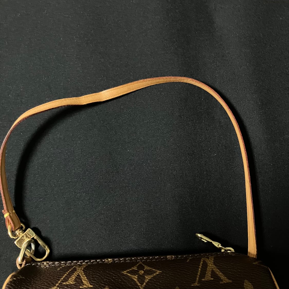 루이비통 빠삐용 파피용 파필론 미니 상품이미지2