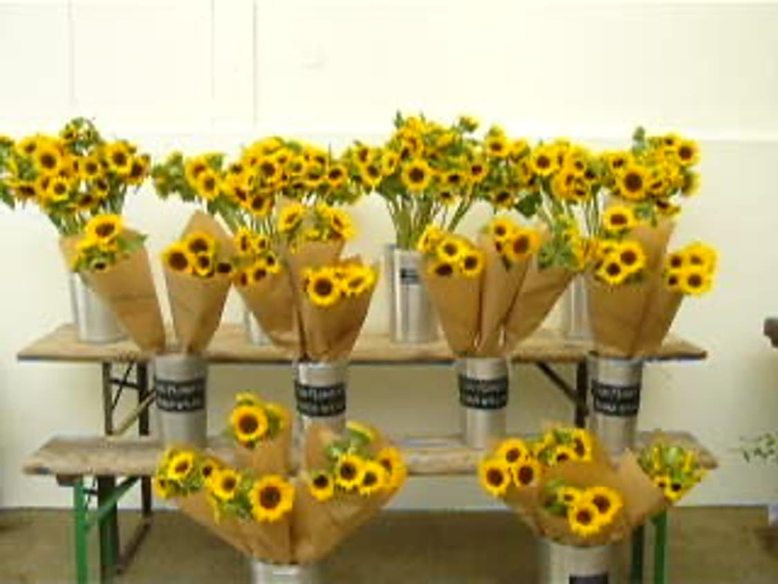 [추천템] 파나소닉 lumix DMC-LS1 핑크 빈티지디카  상품이미지8