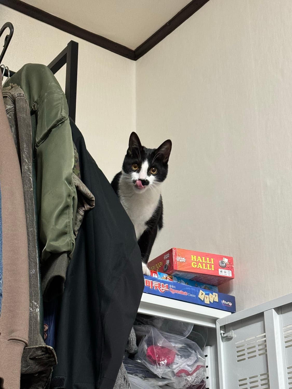 김성현 상품이미지1