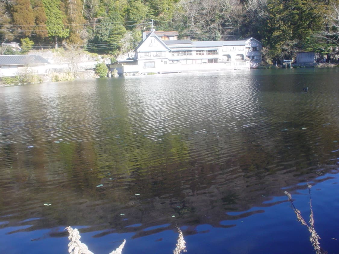 소니 사이버샷 dsc-p31 디카 상품이미지4