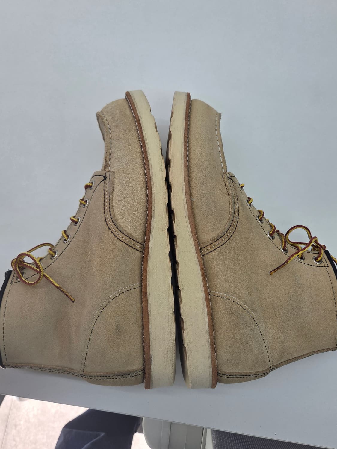 레드윙 8173 9d 270사이즈 상품이미지5