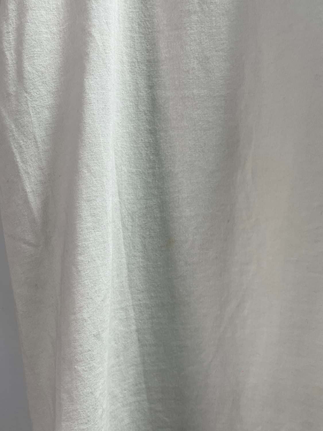 스투시 카멜리아스 라운드 반팔티 (on.510)   상품이미지5