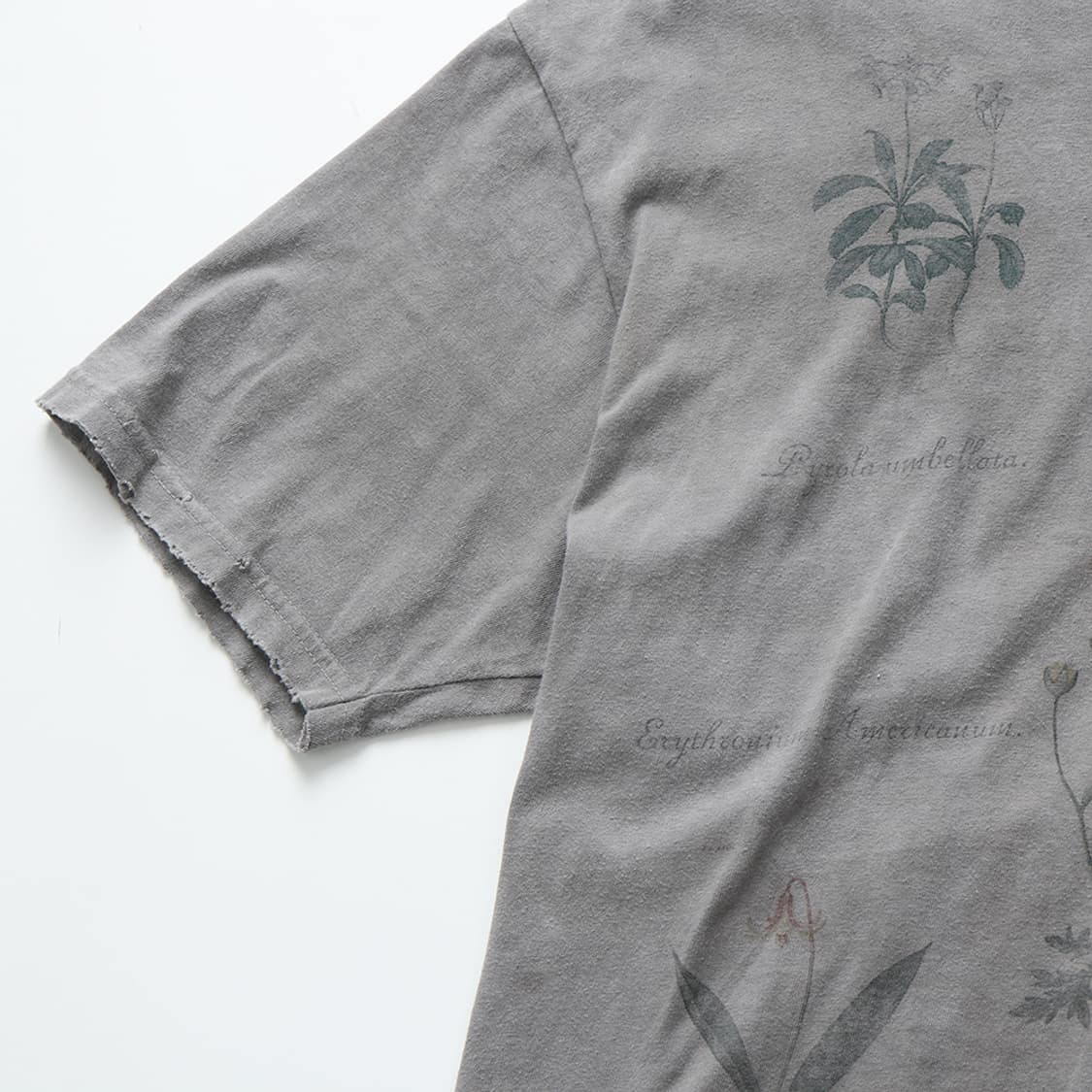 안셀름 ANCELLM Botanical T-shirt 상품이미지7
