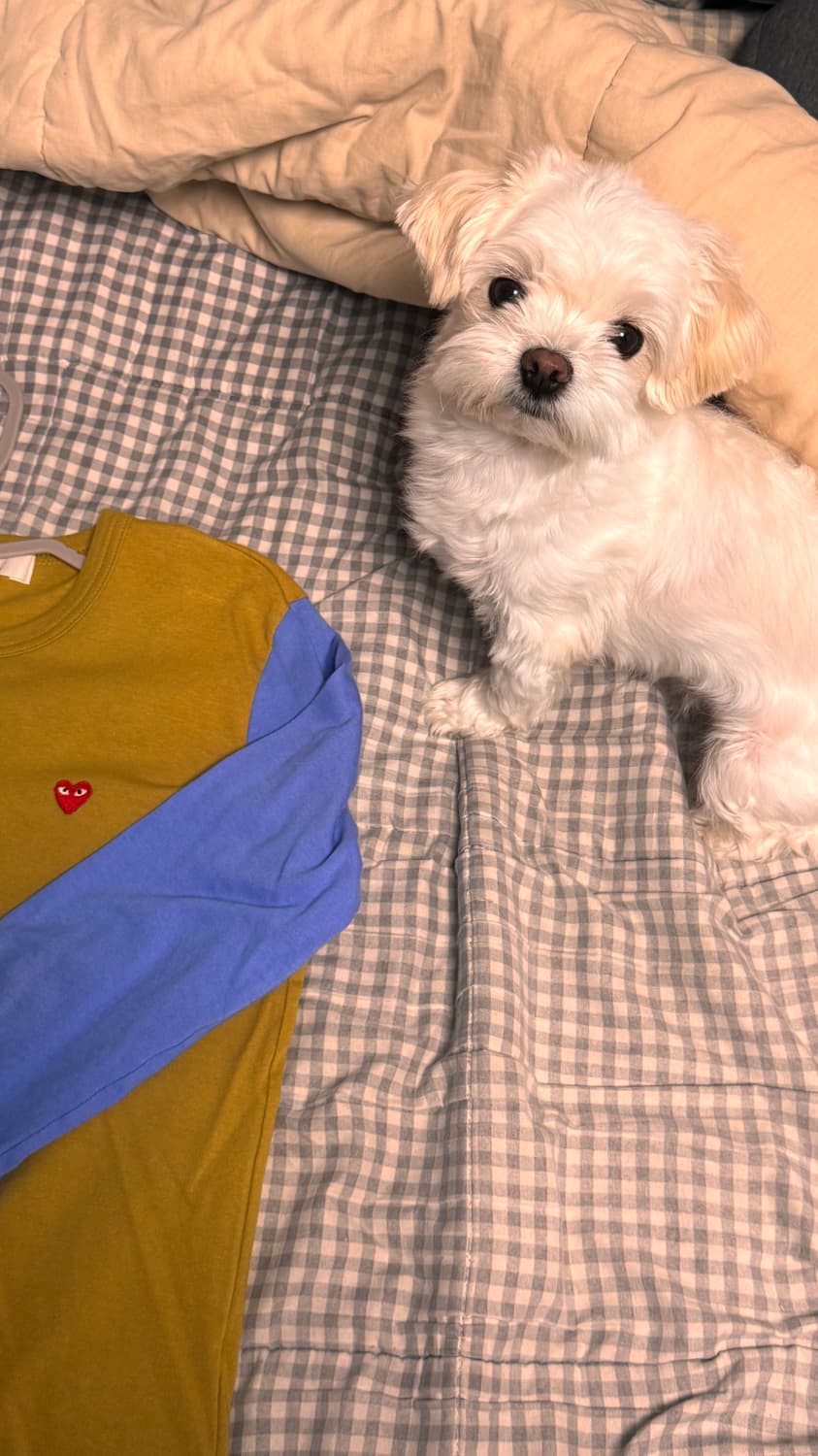 꼼데가르송 PLAY 롱슬리브 티셔츠 M 상품이미지4