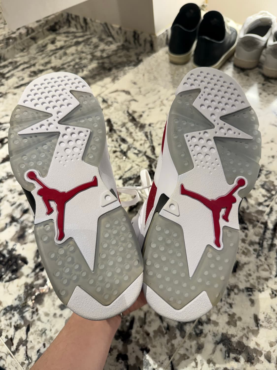 나이키 조던 6 레트로 카마인 2021 상품이미지2