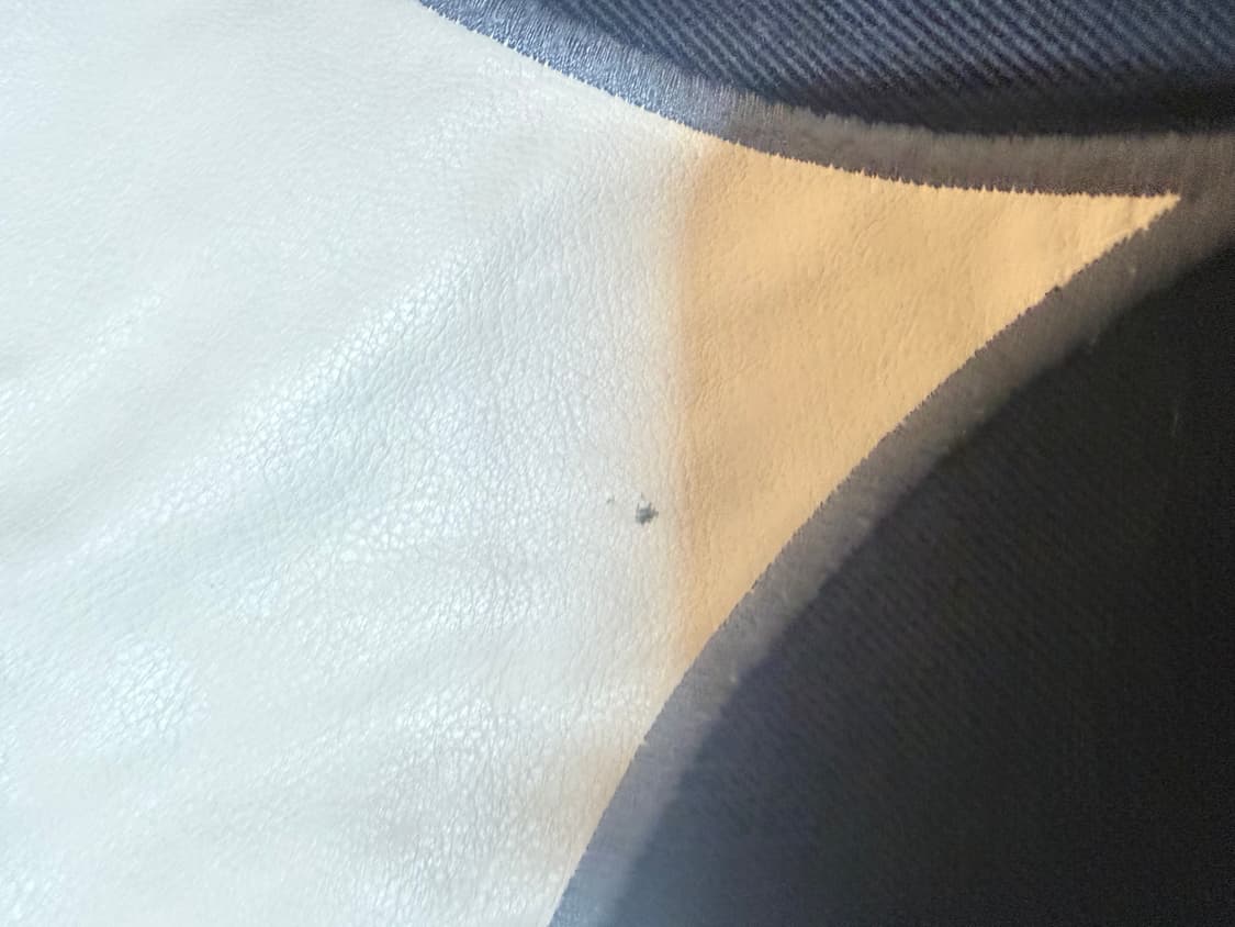 TC 떠그클럽 레더팬츠 1사이즈 상품이미지2