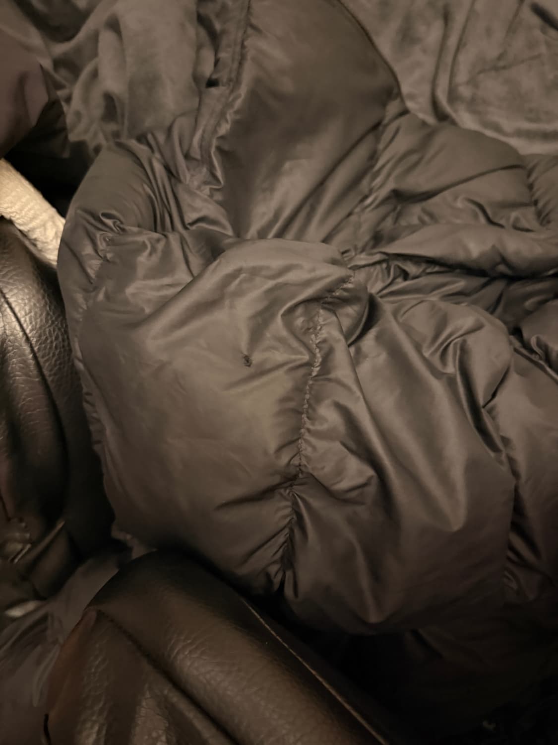 노스페이스 에코눕시 1996 패딩 상품이미지6