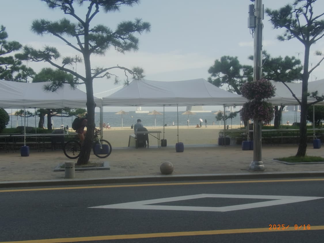 리코 cx3 (작례o) 상품이미지10