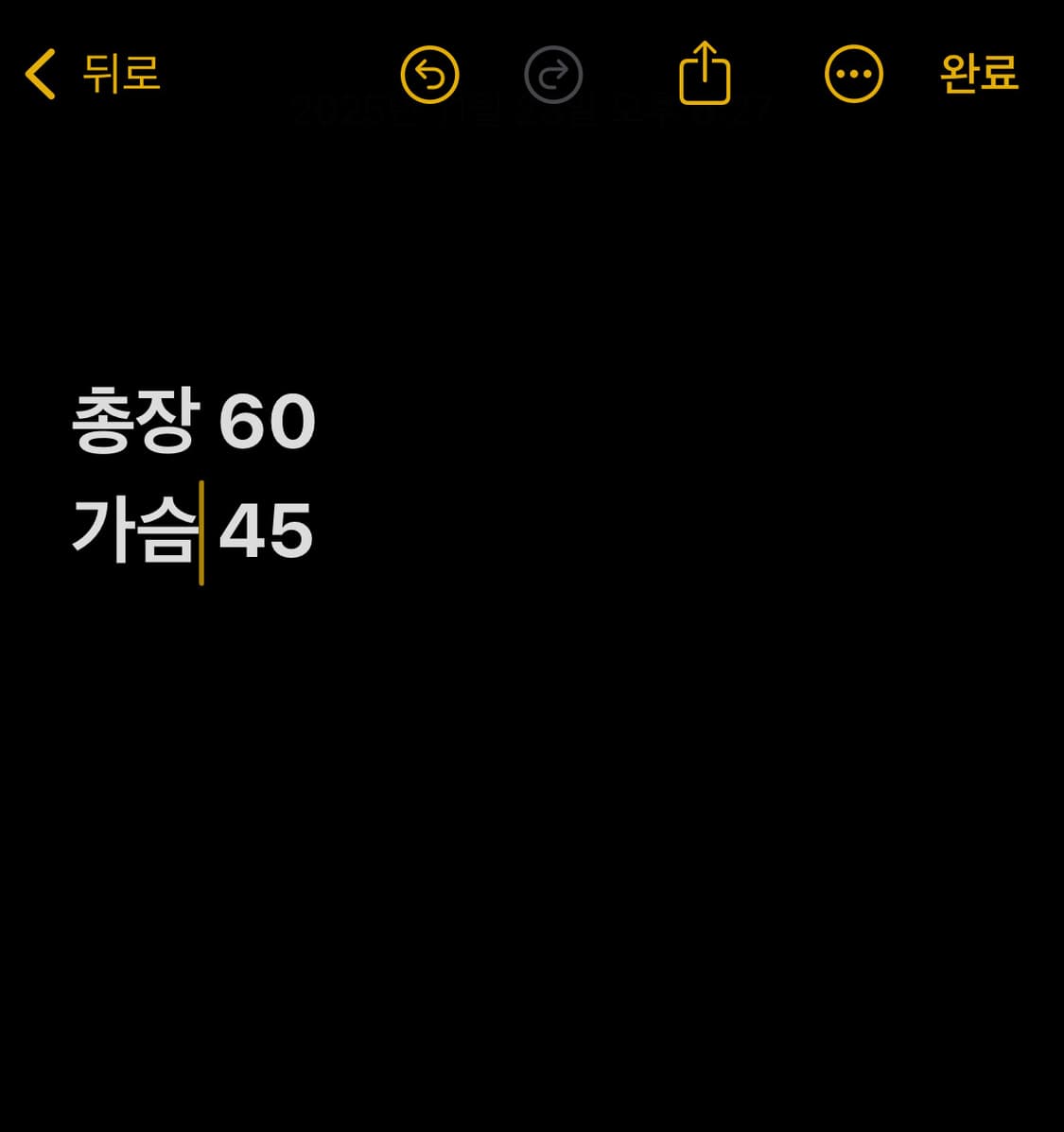 다이나핏 경량패딩  M 90 상품이미지6