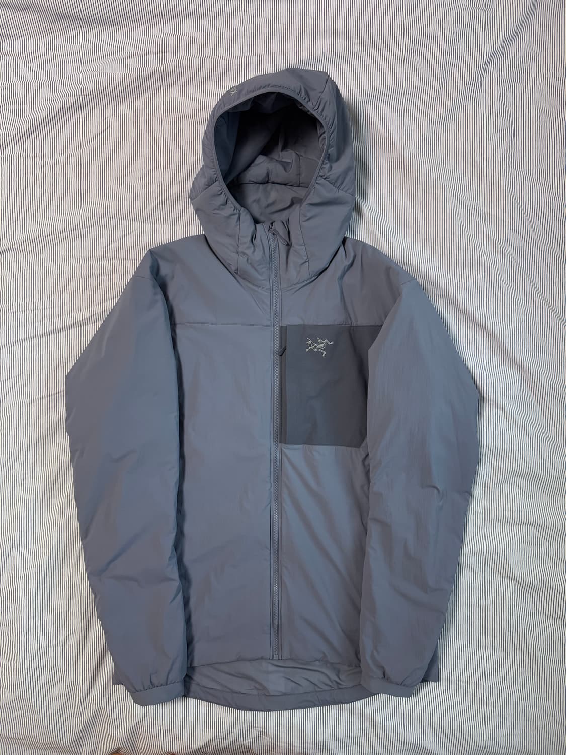 (S급) 아크테릭스 프로톤 후디 스트라터스 상품이미지3