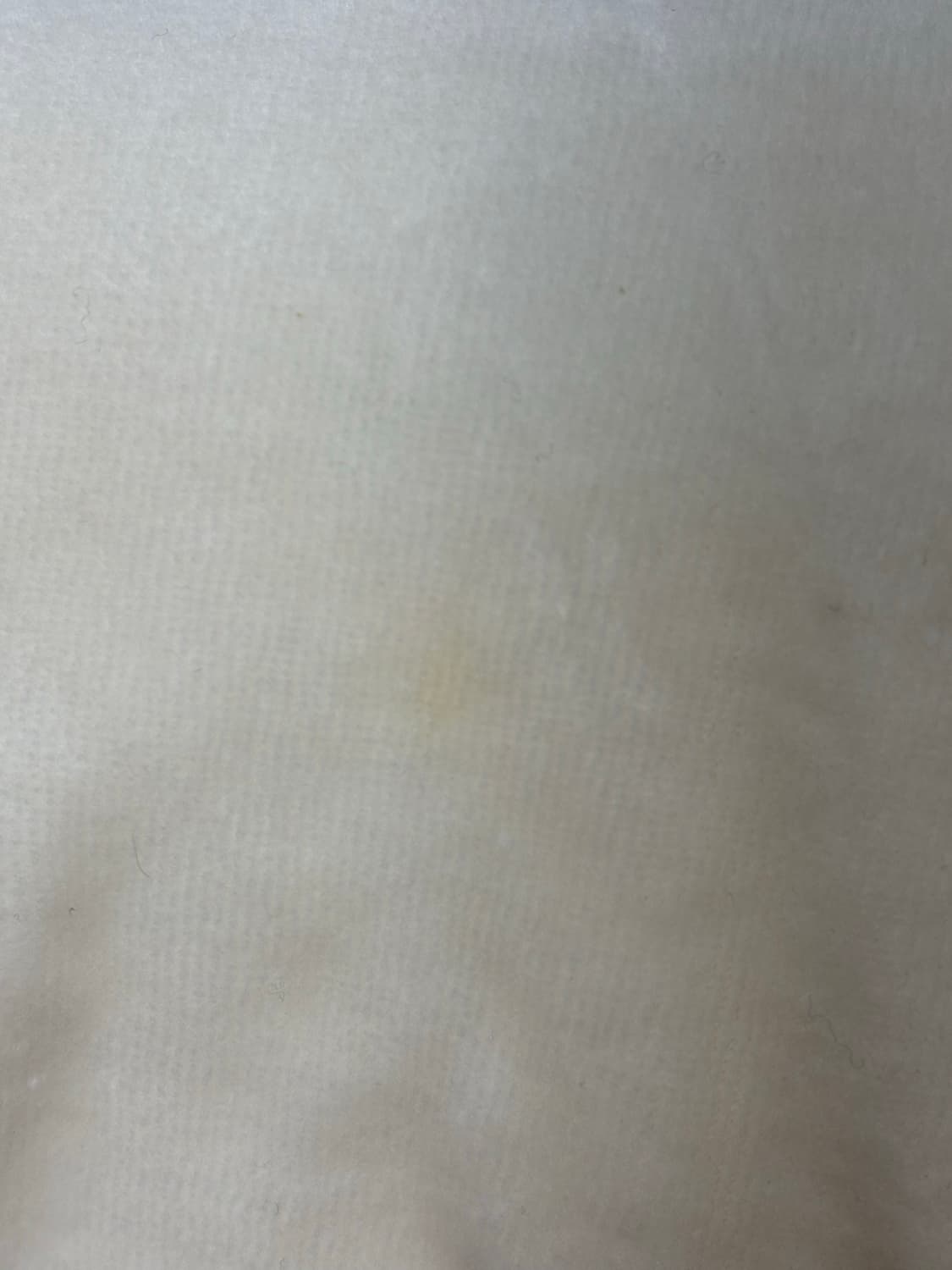 Rady 라디 갸루 샹들리에 아이보리 벨벳 셋업 상품이미지5