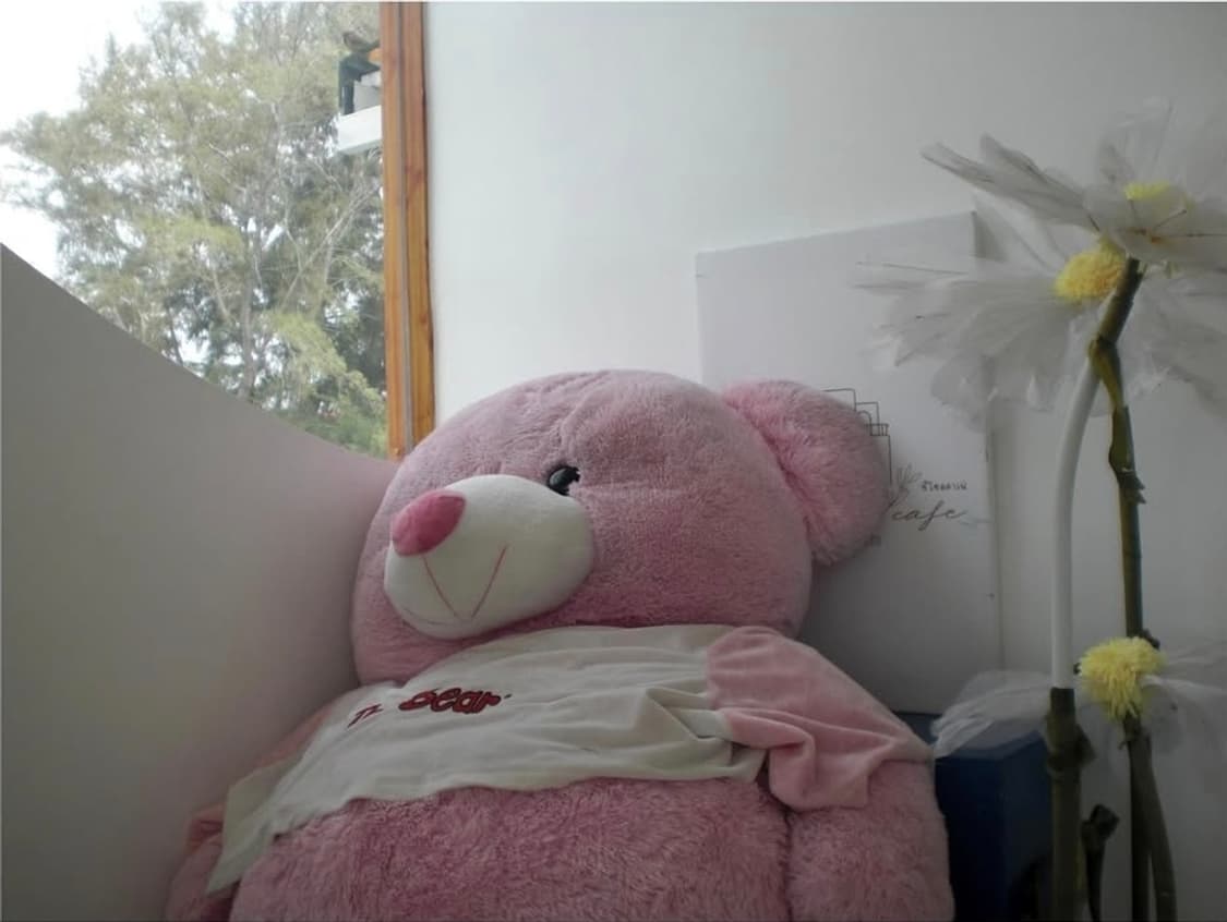 미품 풀박✨️프리지아픽📷 CASIO EXILIM Z85 실버✨ 상품이미지8