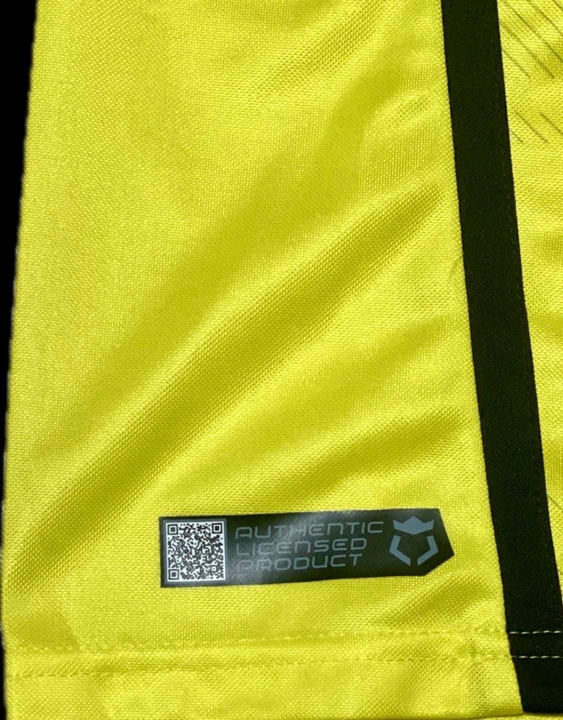 13/14 Dortmund (Home) 로이스 (M) 상품이미지4