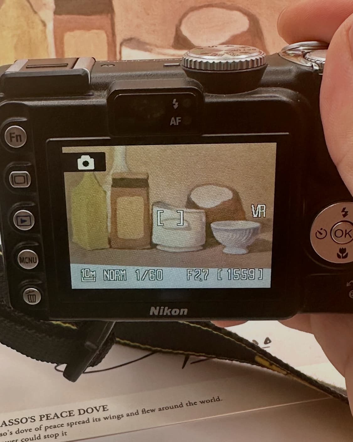 니콘 쿨픽스 P5000 상품이미지4