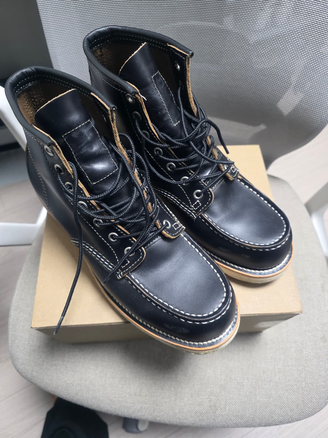 Ticktock 아이리쉬세터 목토 9874 42 상품이미지1