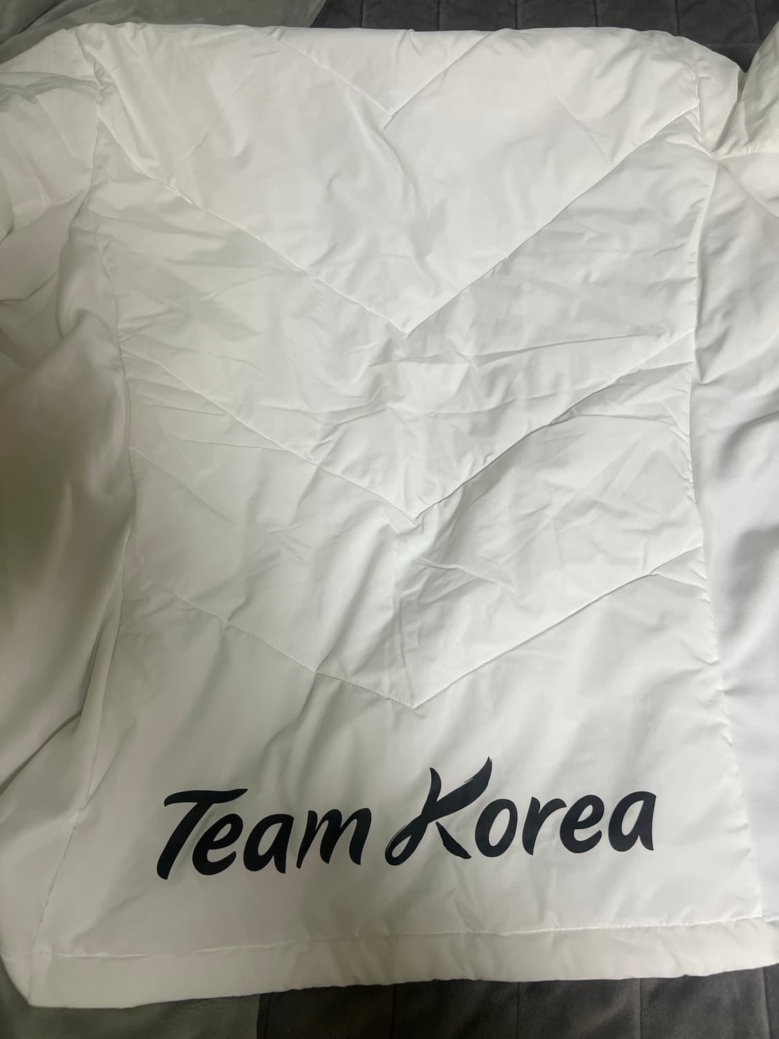 노스페이스 팀코리아 베이징올림픽 선수용 경량패딩 판매합니다 상품이미지4