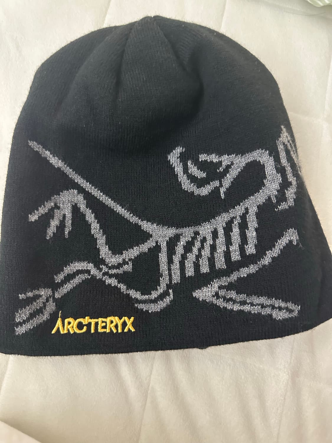 아크테릭스 비니 상품이미지1