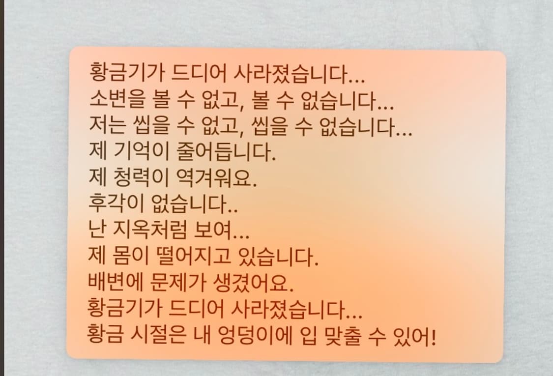 Hanes 올드맨유머티셔츠 반팔 XL 상품이미지3