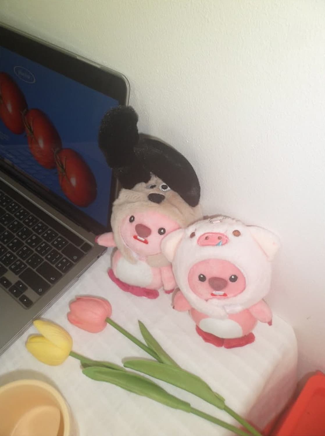 삼성 Samsung VLUU PL120 블랙 상품이미지3