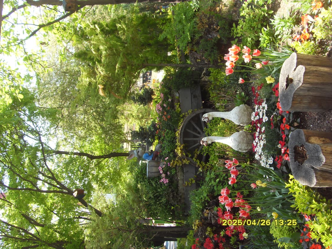 삼성 vluu i8 핑크 디카 상품이미지7