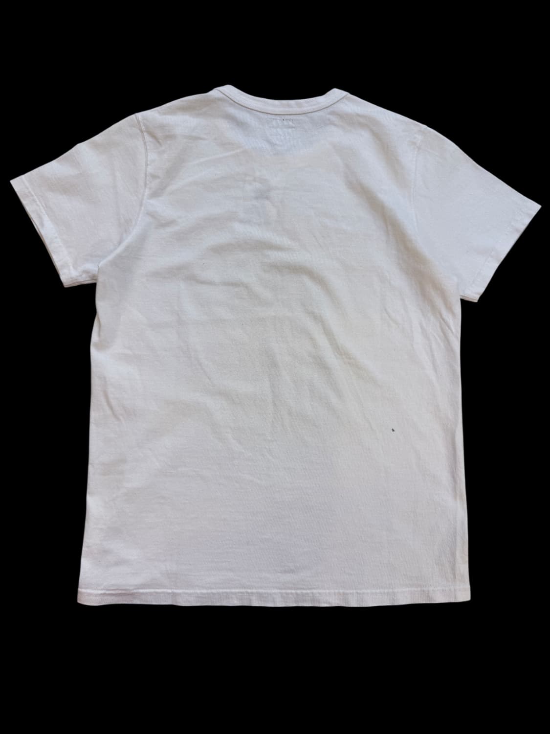 Real McCoy’s U.S. Army Air Corps Tee 상품이미지2