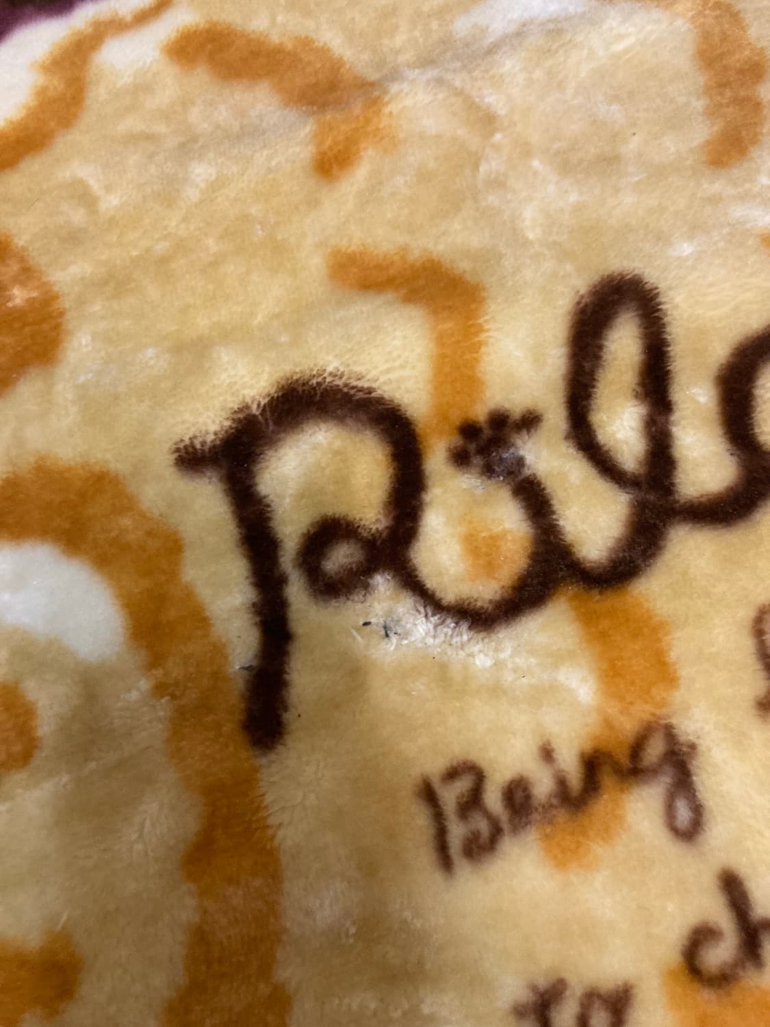 폭닥폭닥 리락쿠마 붕어빵 담요 상품이미지3