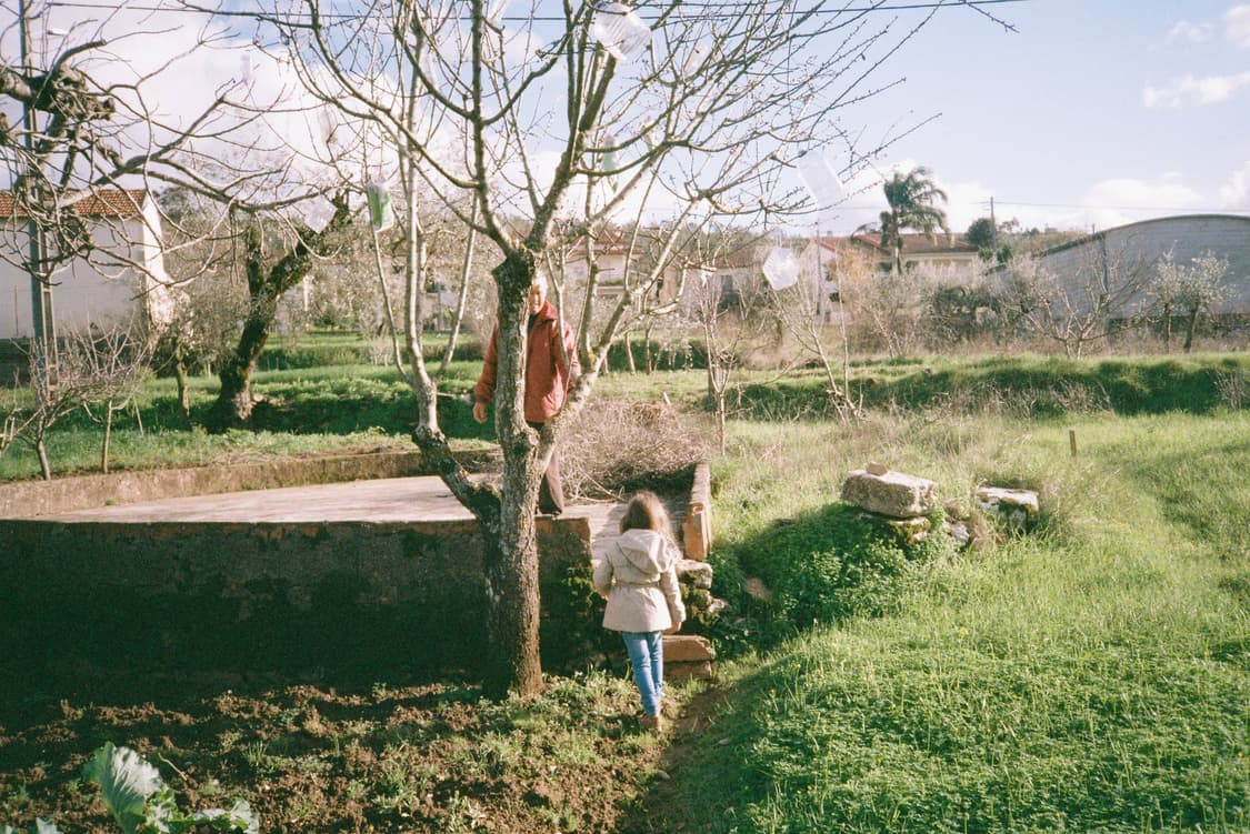 작례O 스냅 최강 감성 신도리코 ff9d 필름카메라 빈티지 필카 상품이미지4