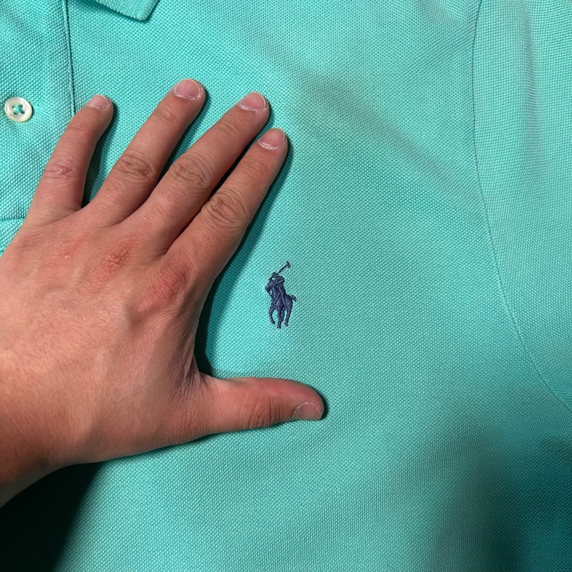 [L] 폴로 랄프로렌 에메랄드 포니 로고 카라 반팔 상품이미지2