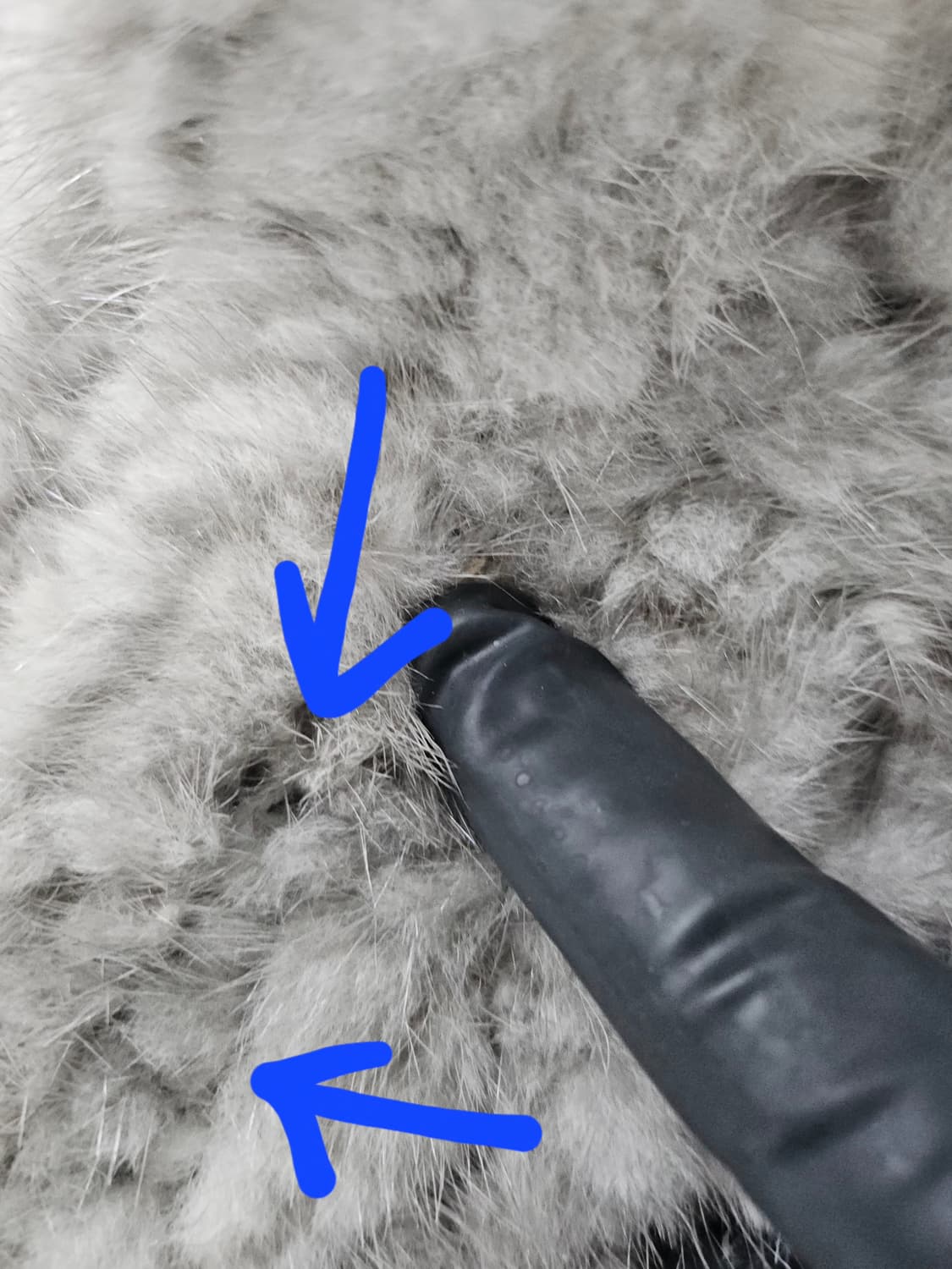 진도밍크 목도리 상품이미지3