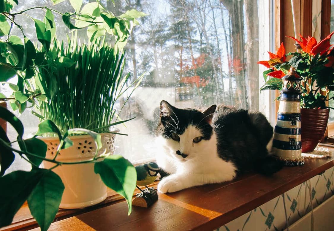 Canon Powershot A1300 (캐논 파워샷 A1300) 상품이미지10