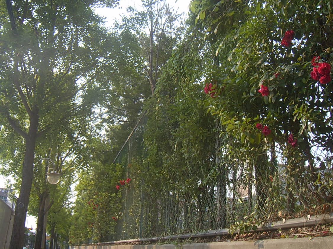 삼성 U-CA4 디지털카메라  상품이미지8