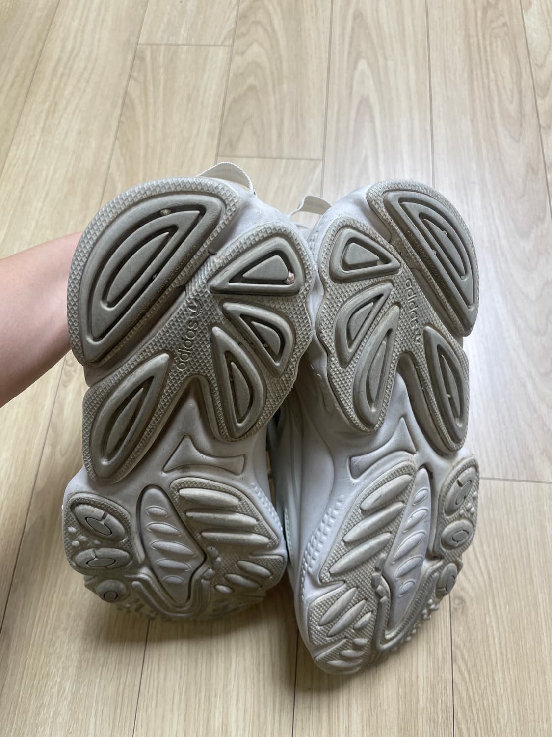 아디다스 오즈위고 셀록스 상품이미지5